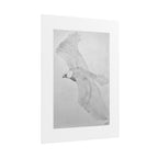 "Eagle Study" Limited Edition Print