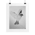 "Songbird Study" Limited Edition Print