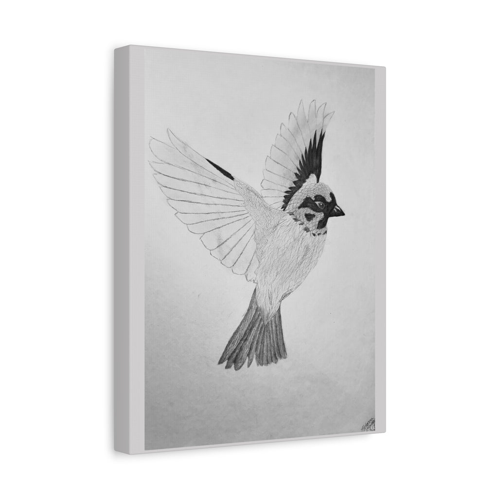 "Songbird Study" Stretched Canvas