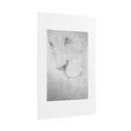 "Lion" Limited Edition Print