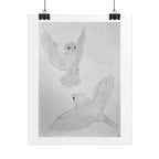 "Finch Study" Limited Edition Print