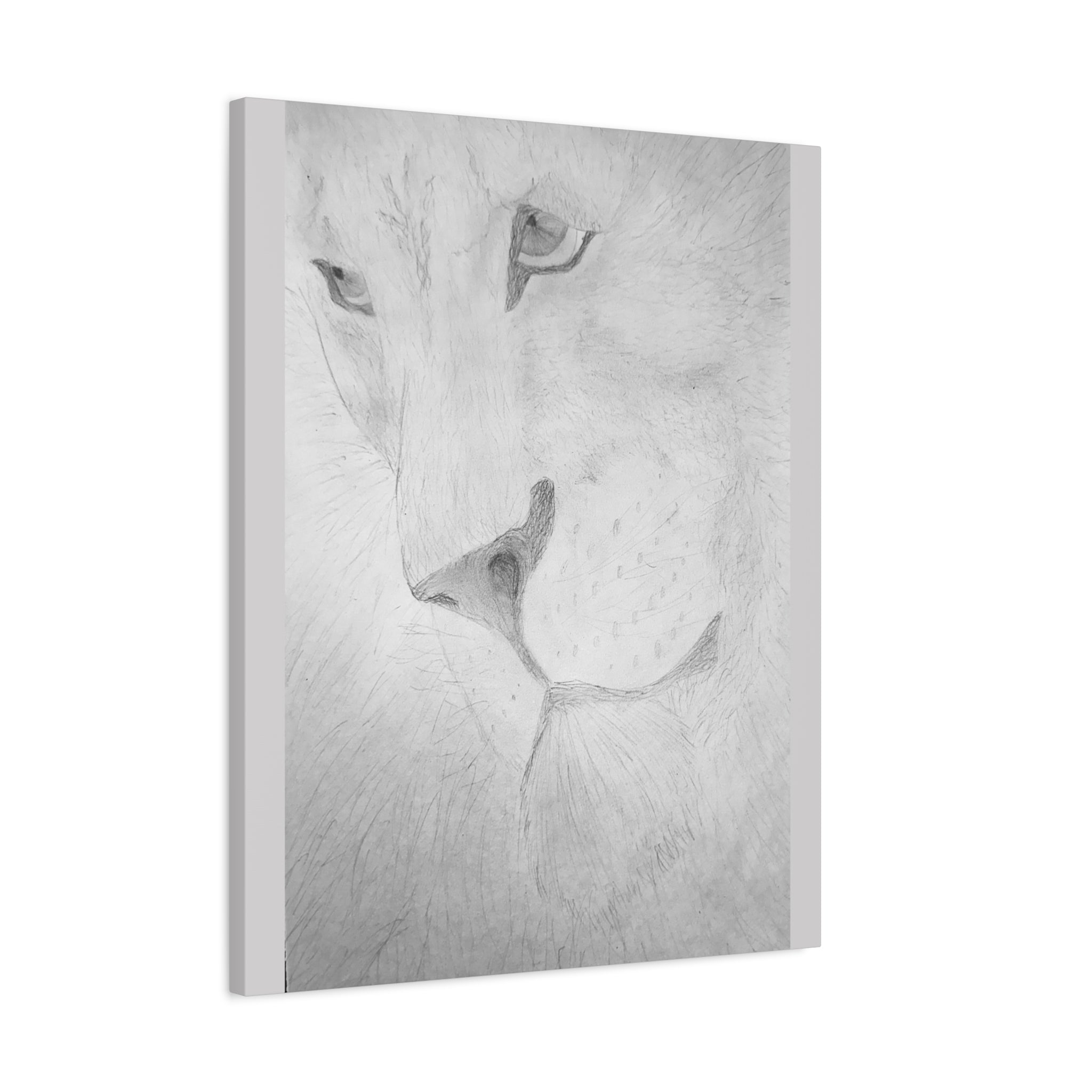 "Lion Study" Stretched Canvas