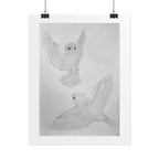 "Finch Study" Limited Edition Print