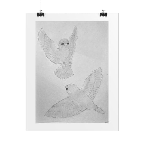 "Finch Study" Limited Edition Print