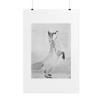 "Fox Study" Limited Edition Print