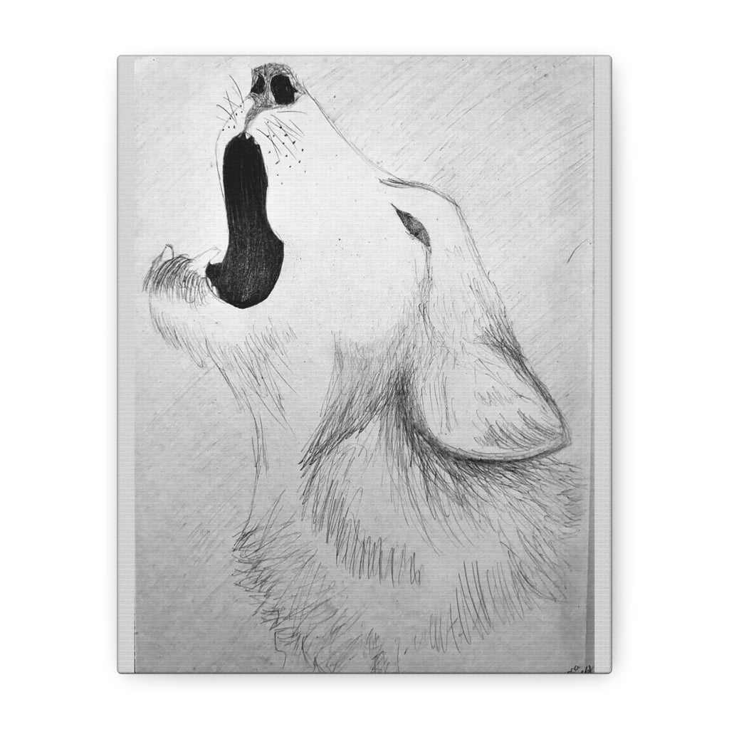 "Wolf Study" Stretched Canvas
