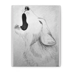 "Wolf Study" Stretched Canvas