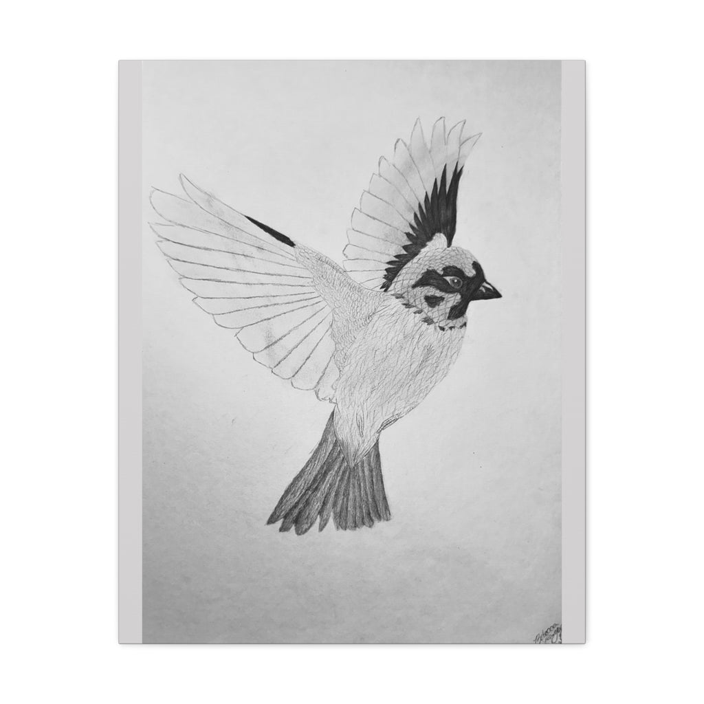 "Songbird Study" Stretched Canvas