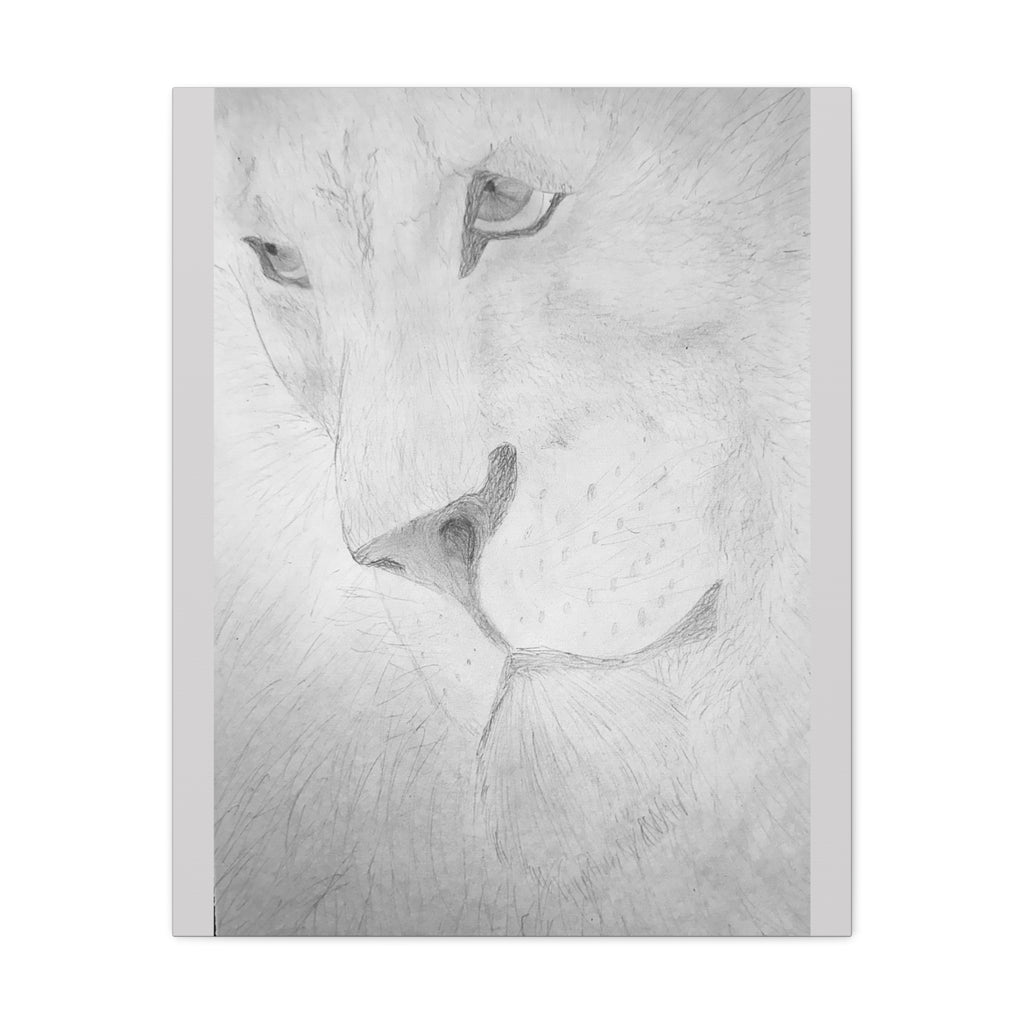 "Lion Study" Stretched Canvas