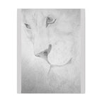 "Lion Study" Stretched Canvas