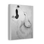 "Wolf Study" Stretched Canvas