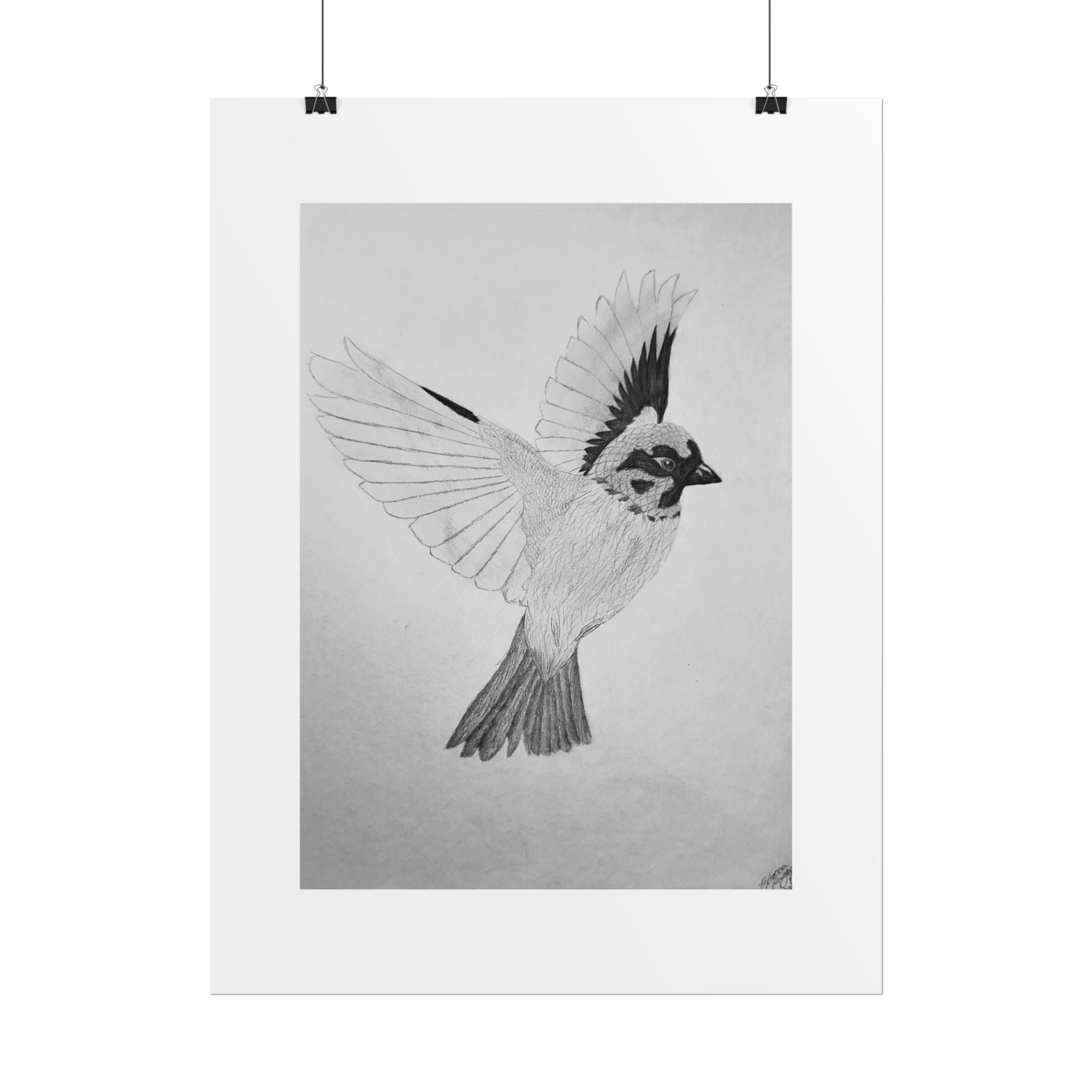 "Songbird Study" Limited Edition Print