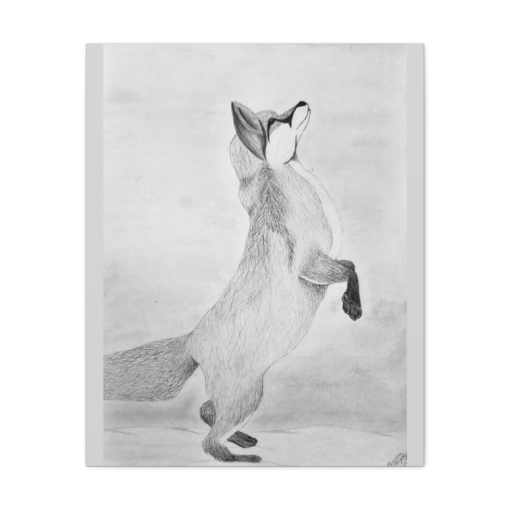 "Fox Study" Stretched Canvas