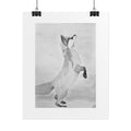"Fox Study" Limited Edition Print