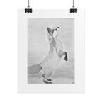 "Fox Study" Limited Edition Print