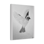 "Songbird Study" Stretched Canvas