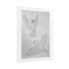 "Finch Study" Limited Edition Print