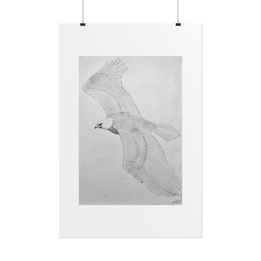 "Eagle Study" Limited Edition Print