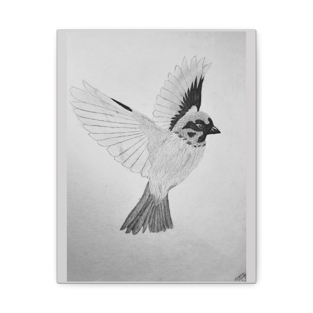 "Songbird Study" Stretched Canvas