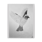 "Songbird Study" Stretched Canvas