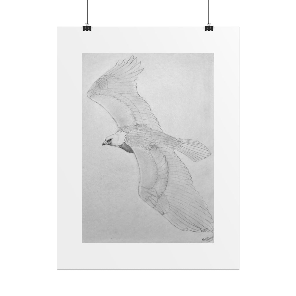 "Eagle Study" Limited Edition Print