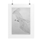 "Eagle Study" Limited Edition Print