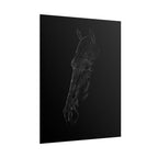 "Still" Limited Edition Print