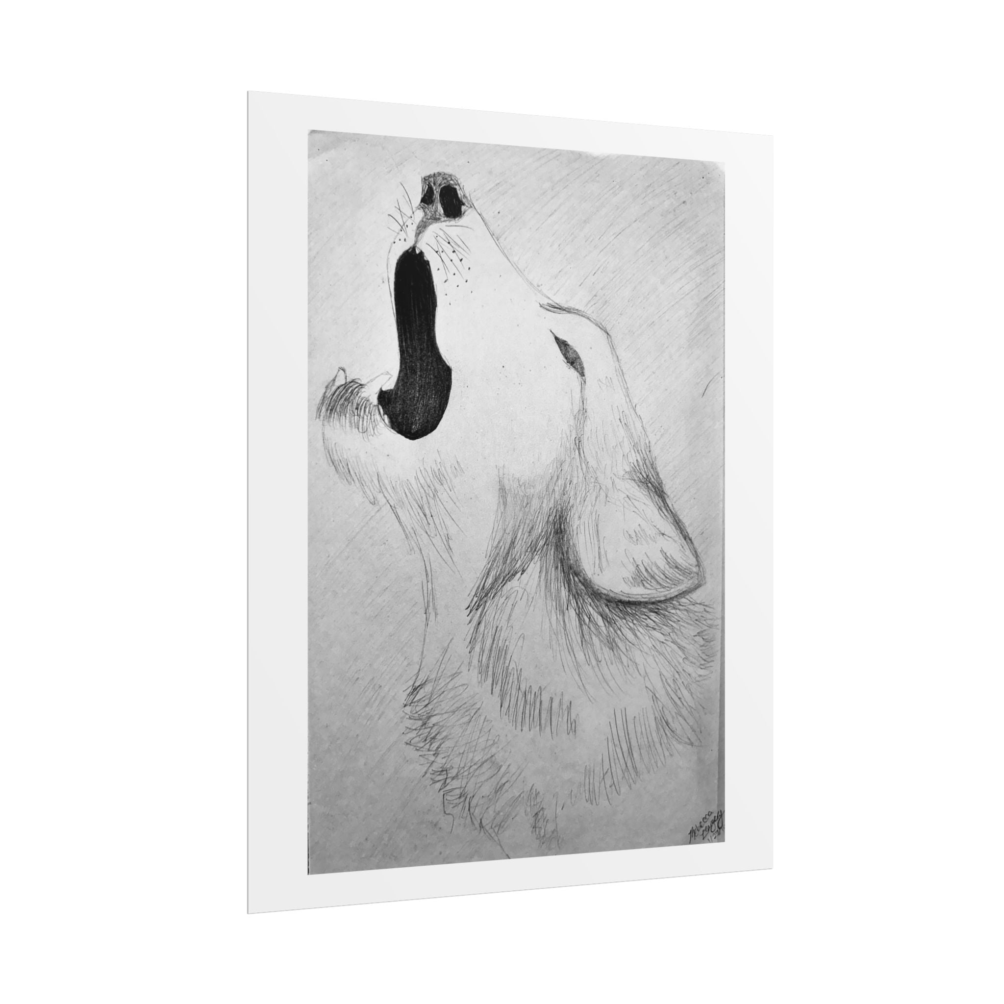 "Wolf Study" Limited Edition Print