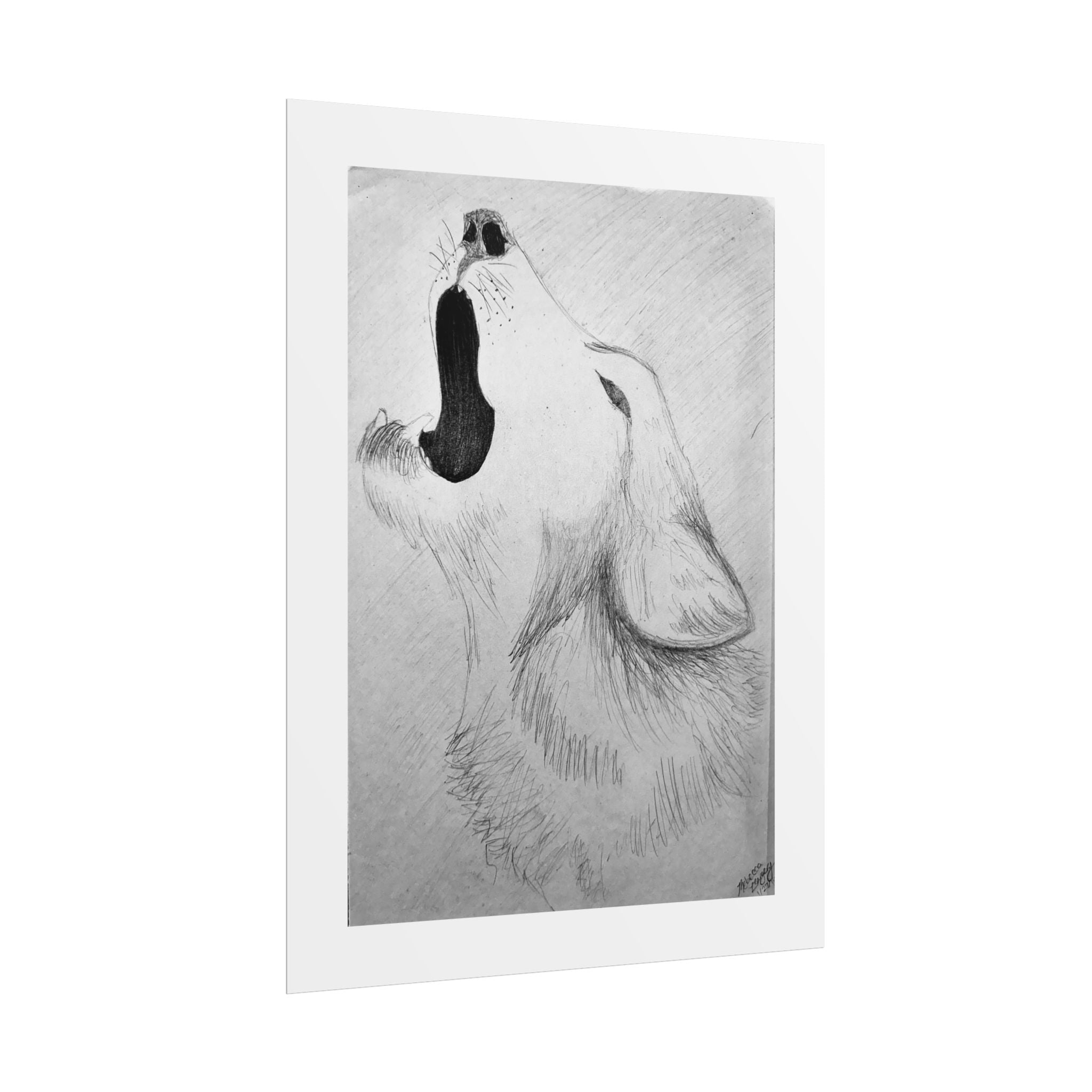 "Wolf Study" Limited Edition Print