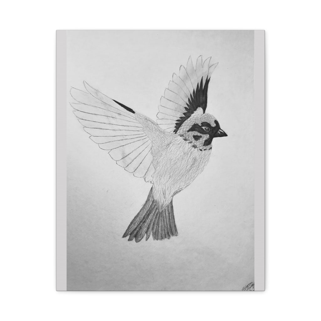 "Songbird Study" Stretched Canvas