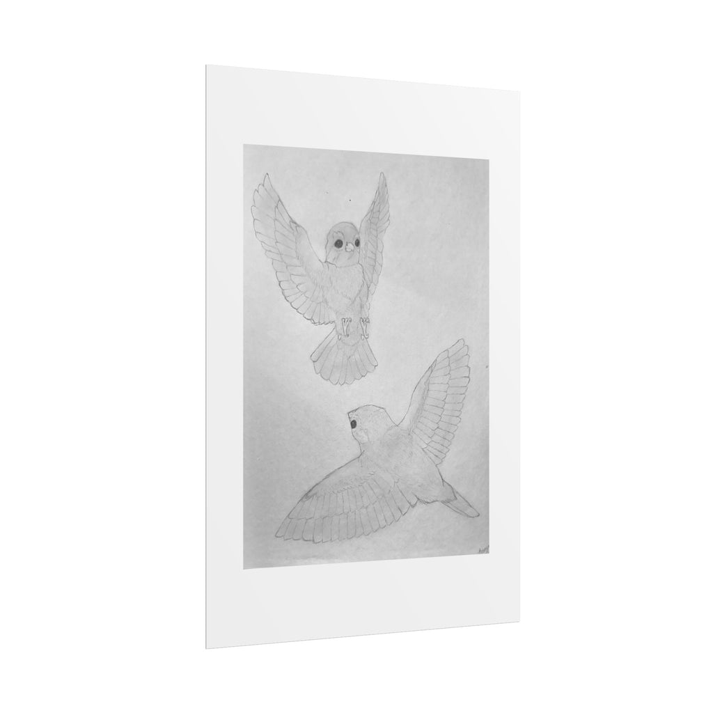 "Finch Study" Limited Edition Print