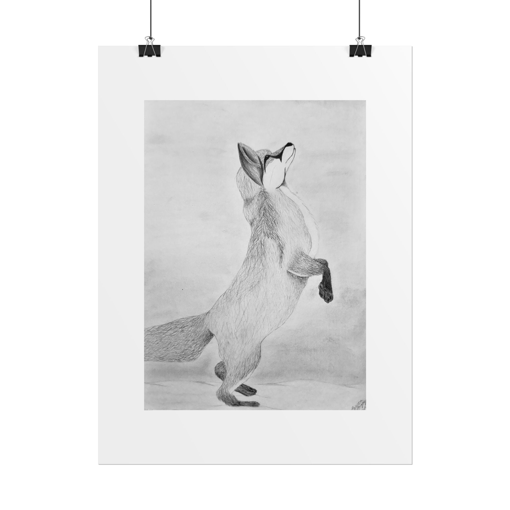 "Fox Study" Limited Edition Print