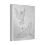 "Finch Study" Stretched Canvas