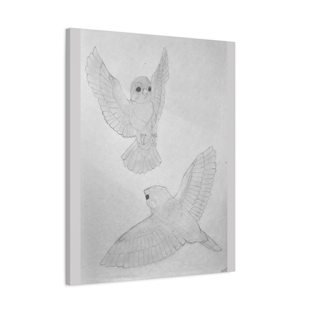 "Finch Study" Stretched Canvas