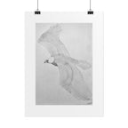 "Eagle Study" Limited Edition Print