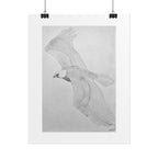 "Eagle Study" Limited Edition Print