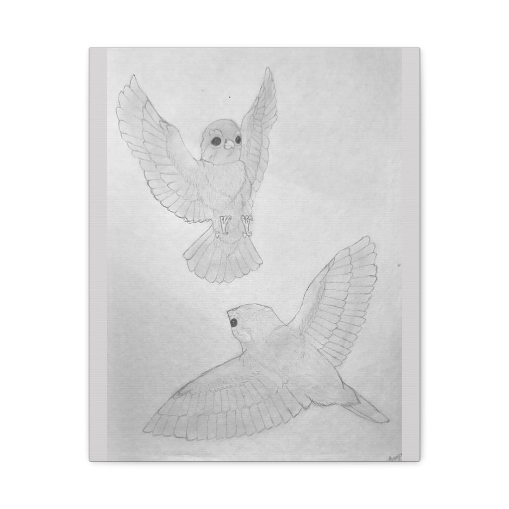 "Finch Study" Stretched Canvas