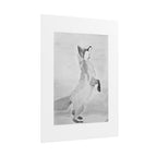 "Fox Study" Limited Edition Print
