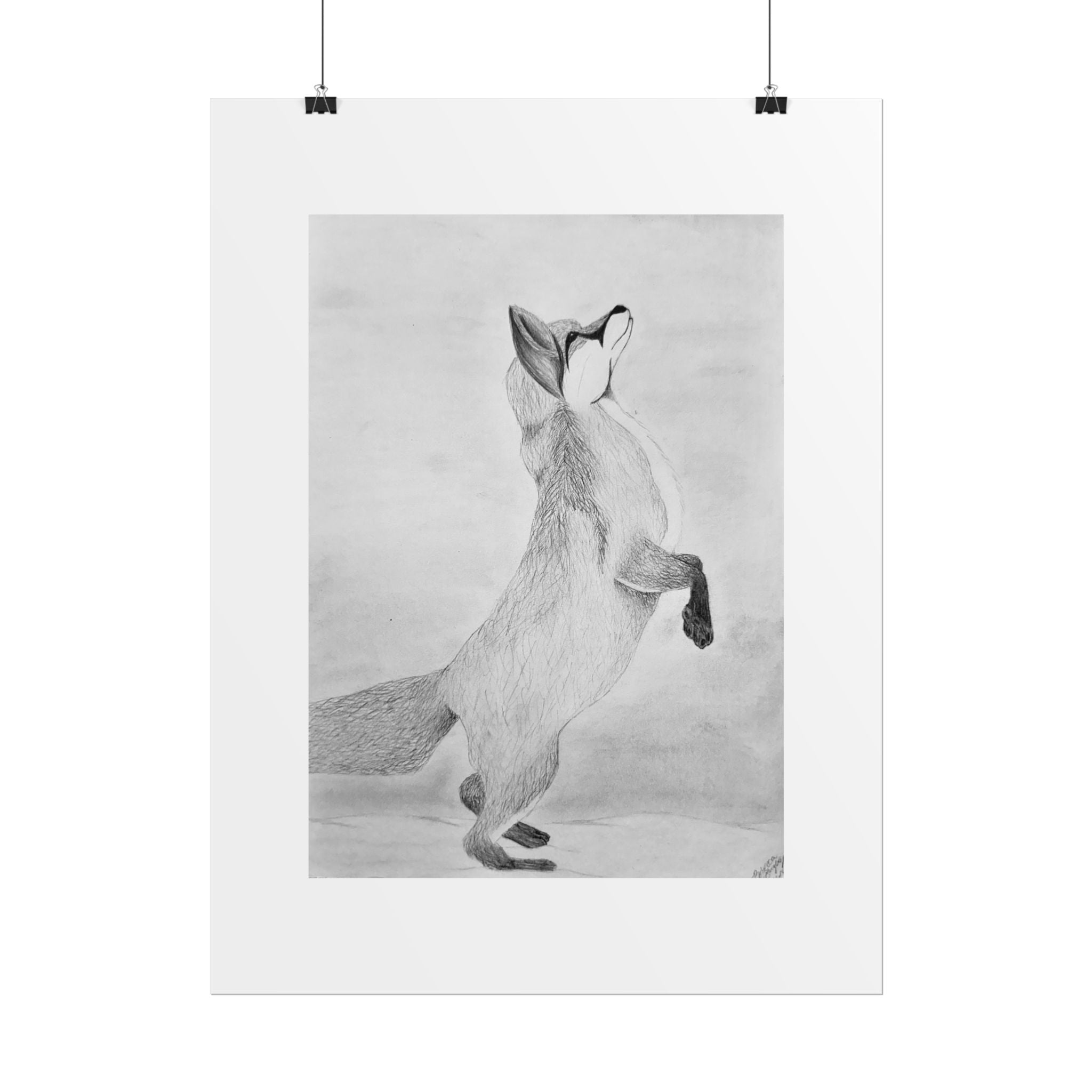"Fox Study" Limited Edition Print