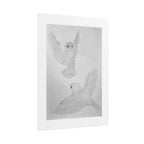 "Finch Study" Limited Edition Print
