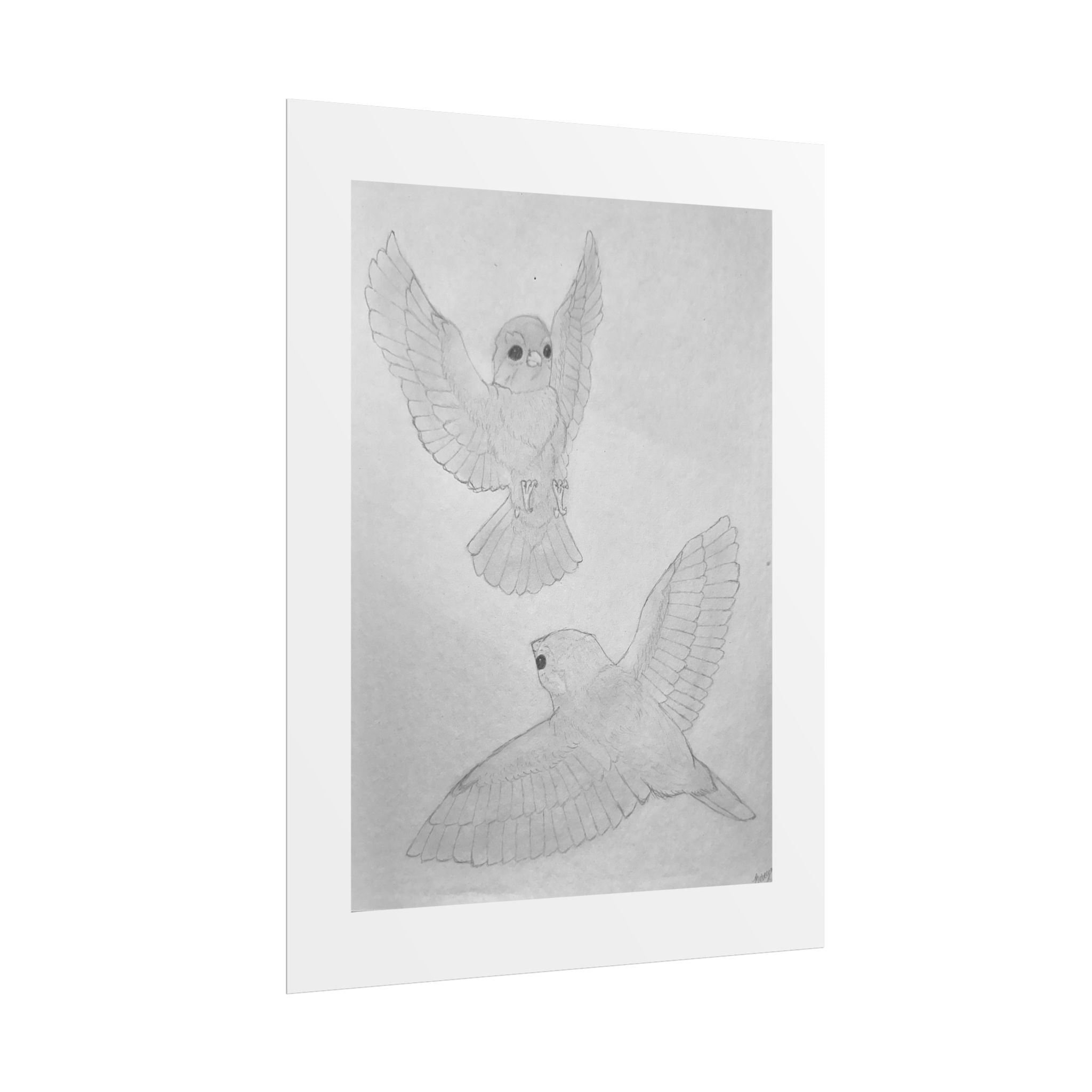 "Finch Study" Limited Edition Print