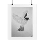 "Songbird Study" Limited Edition Print