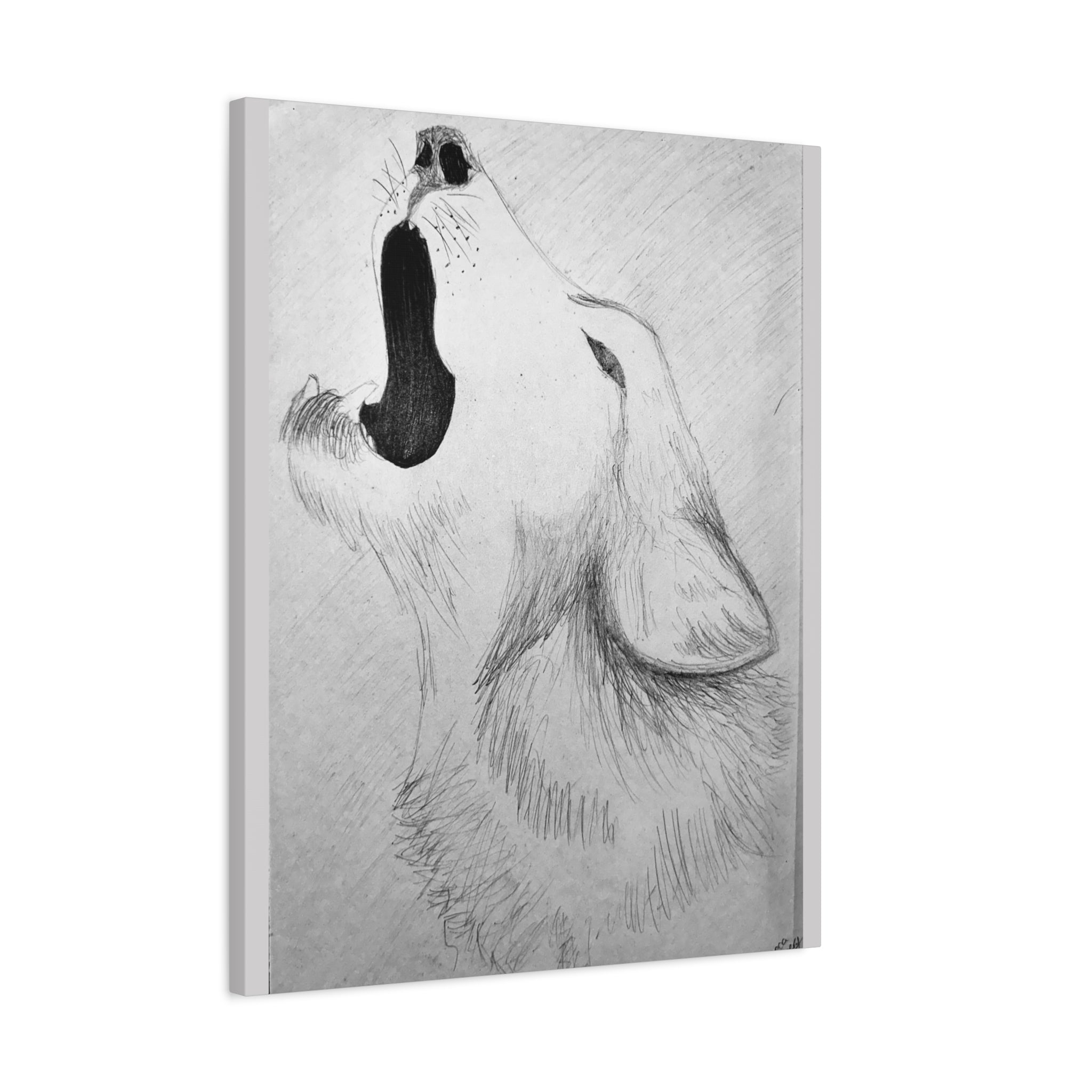 "Wolf Study" Stretched Canvas