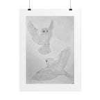 "Finch Study" Limited Edition Print
