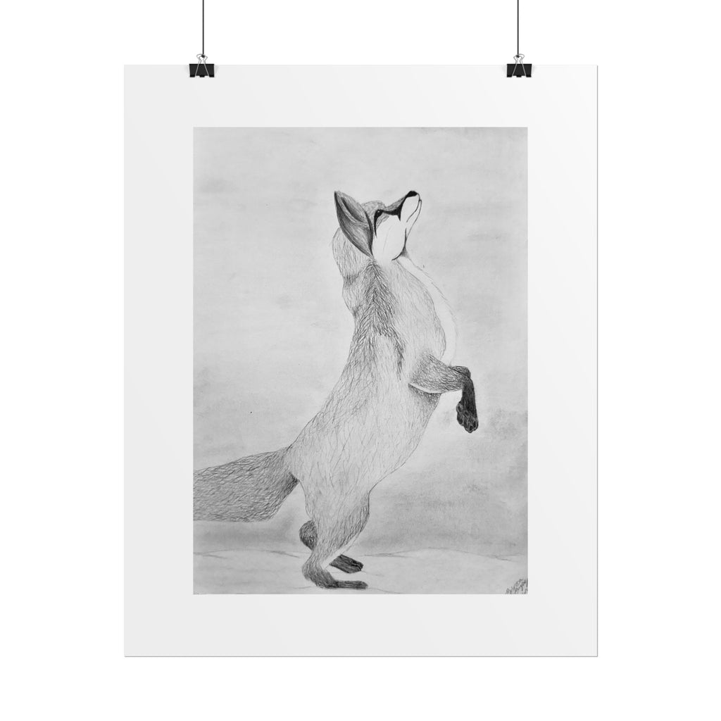 "Fox Study" Limited Edition Print