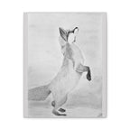 "Fox Study" Stretched Canvas