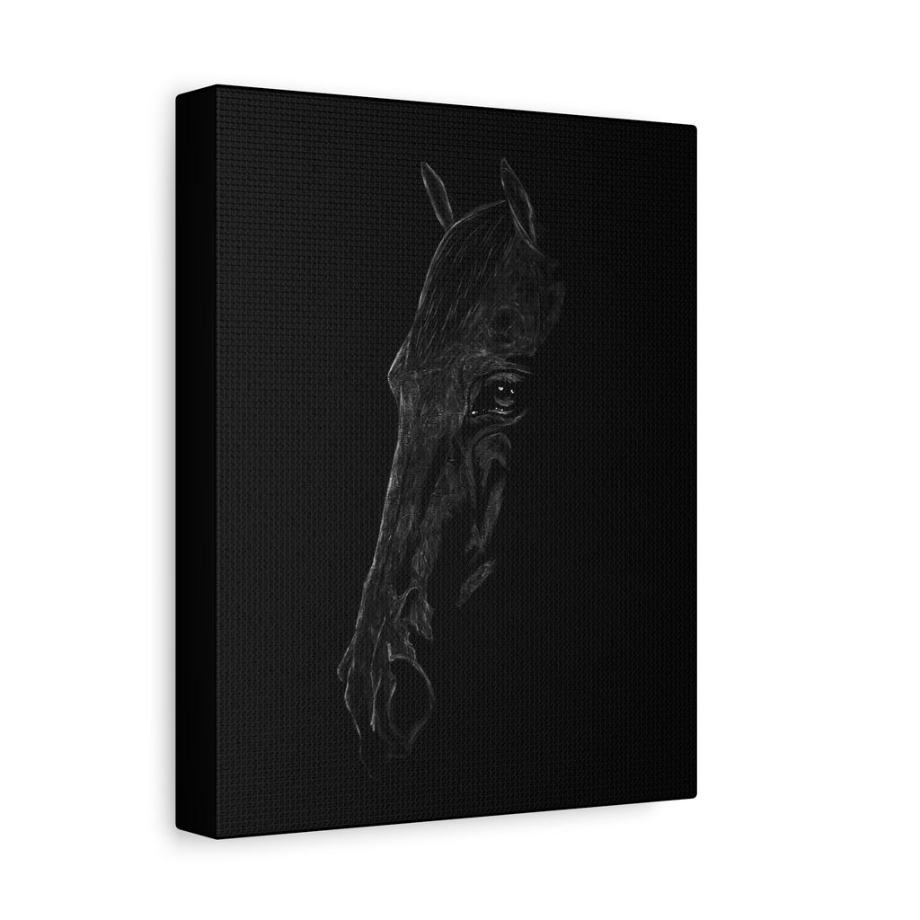 "Still" Stretched Canvas