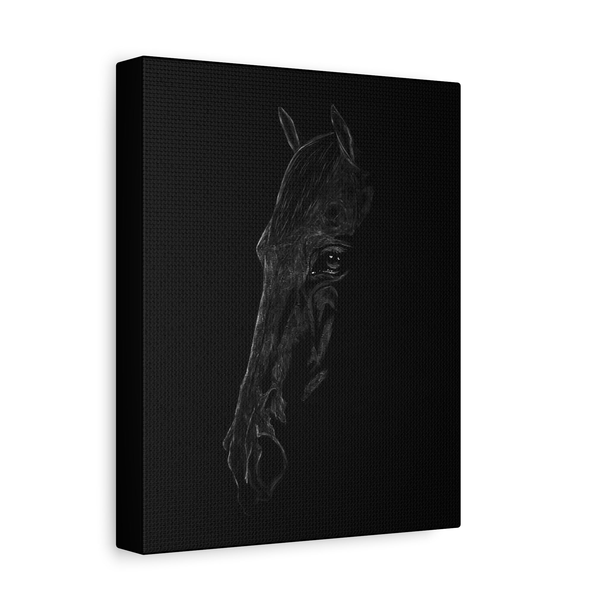 "Still" Stretched Canvas