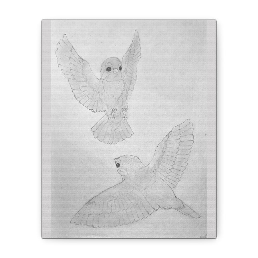 "Finch Study" Stretched Canvas