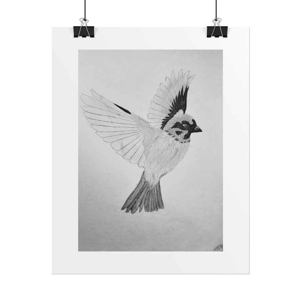 "Songbird Study" Limited Edition Print